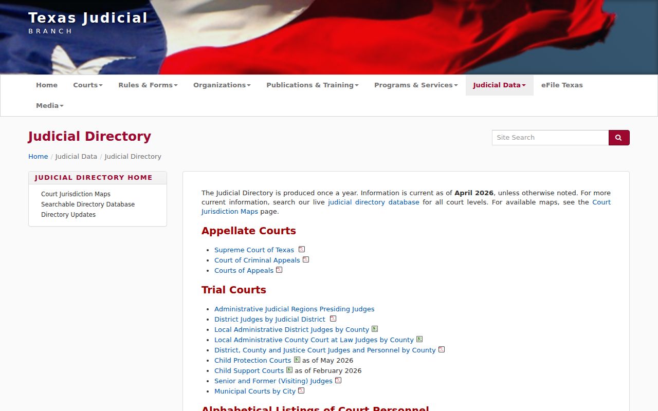 Texas judicial directory for Brooks County criminal court cases
