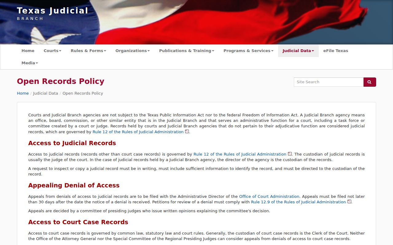 Texas court record access rules for Brooks County criminal cases